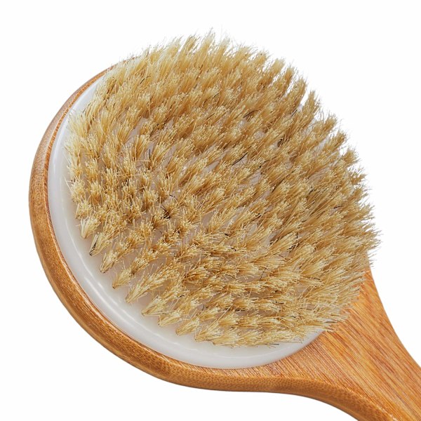 Bambu selkäharja