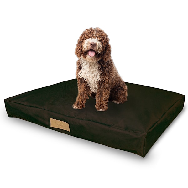 Personlig hundemadras Dogeste XL Brun