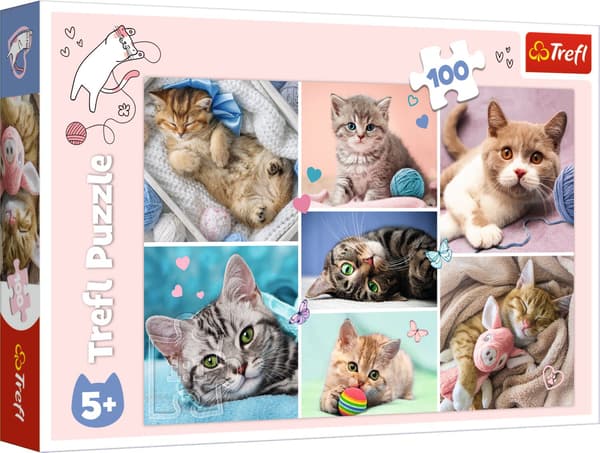Trefl Puzzle In The Cats World 100 kpl