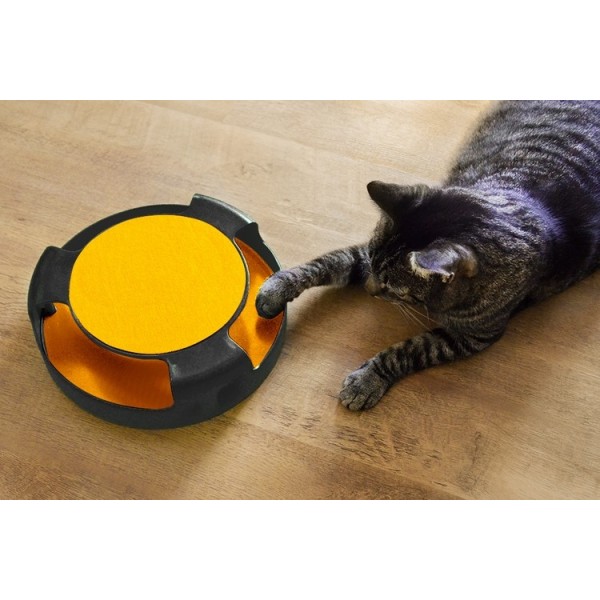 Et legetøj til en kat - et hjul med en mus