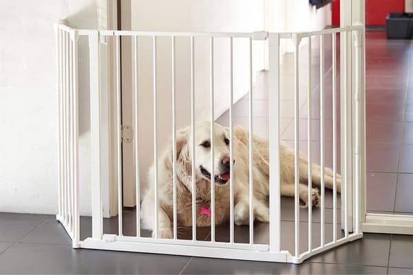 Safety Gate lekhage för barn och husdjur – 5 paneler, 60 cm, metall
