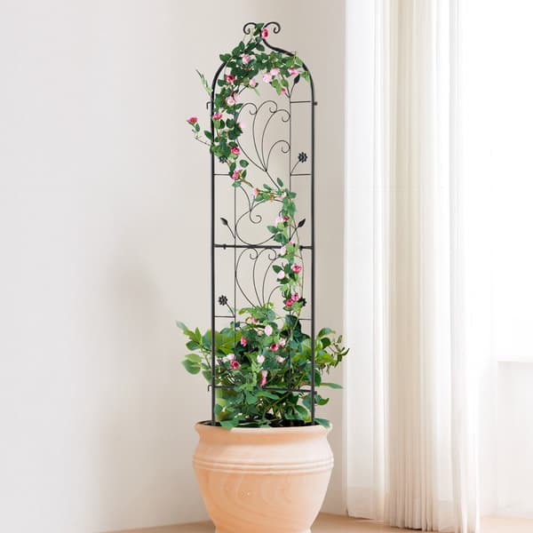 Haveespalier til klatreplanter, rustfri metal 60x15 tommer
