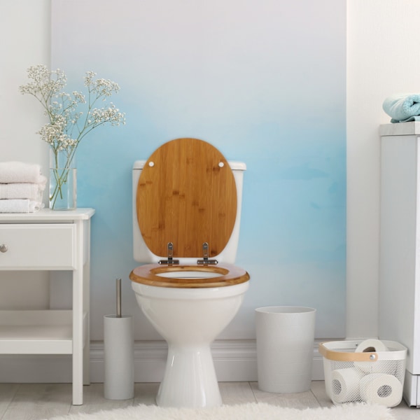 WC:n kansi pehmeästi sulkeutuvalla mekanismilla