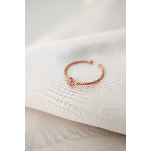 Silverring FA182320