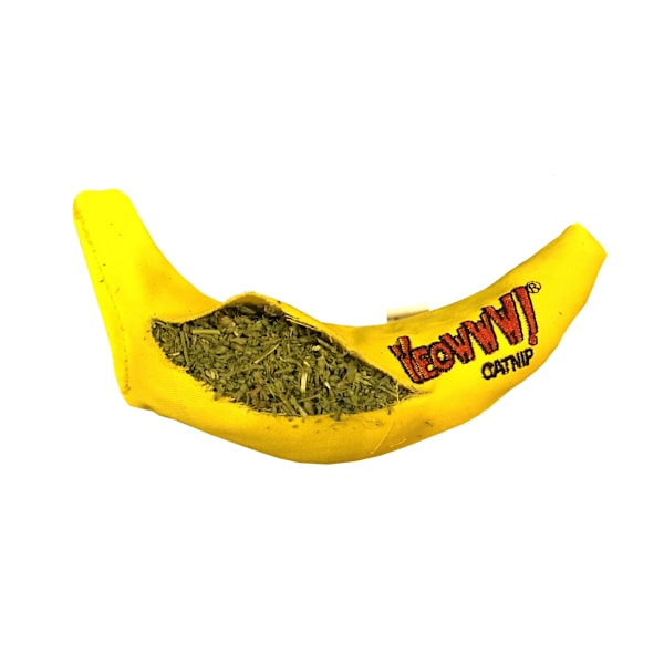 Jep, Chicata banaani
