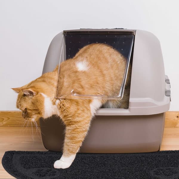 Kattlåda matta