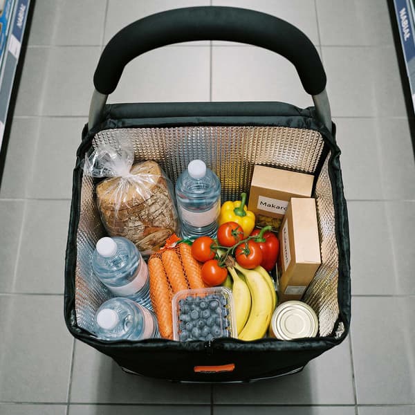 Sammenklappelig indkøbsvogn 45L sort, termisk indvendig