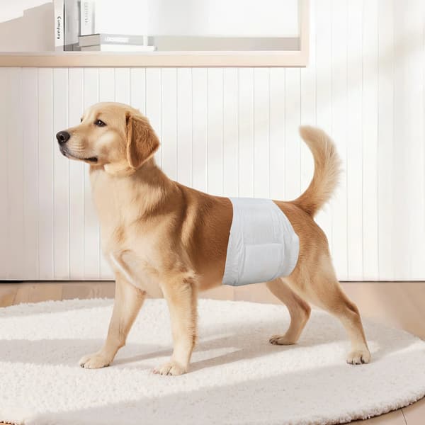 Engangsbleer til hanhunde, størrelse M, 96 stk., vådindikator