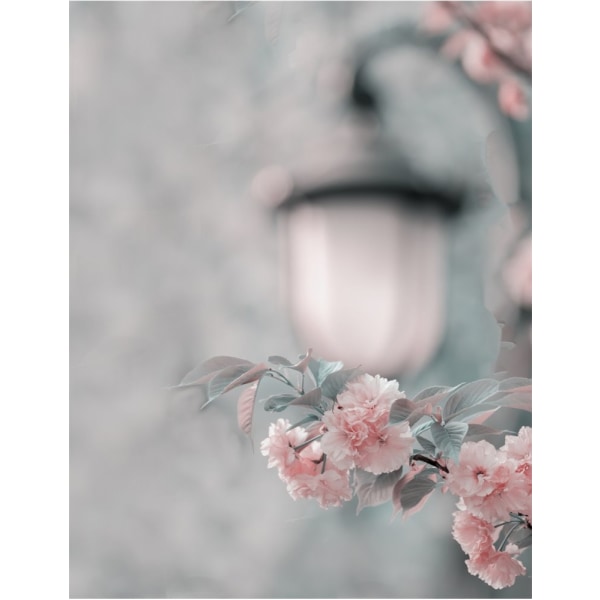 Cherry Blossom Under Street Lamp - 30x40 cm