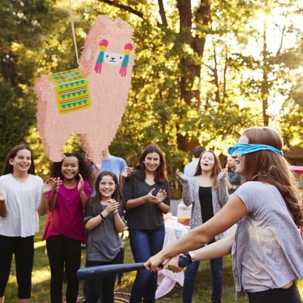 Pinata laama