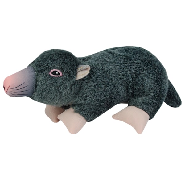 Wild Life Dog Mole