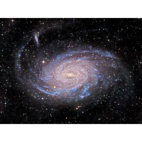 Ngc 6744 Galaxy - 50x70 cm