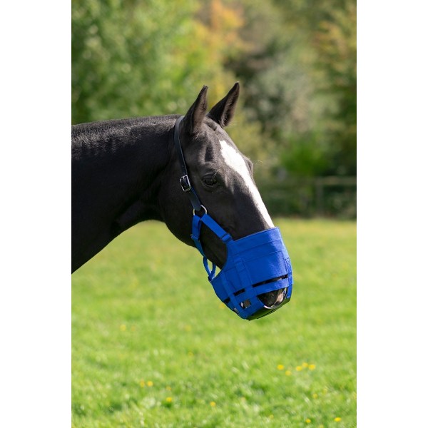 Laidun kuono The Ultimate Muzzle Pony