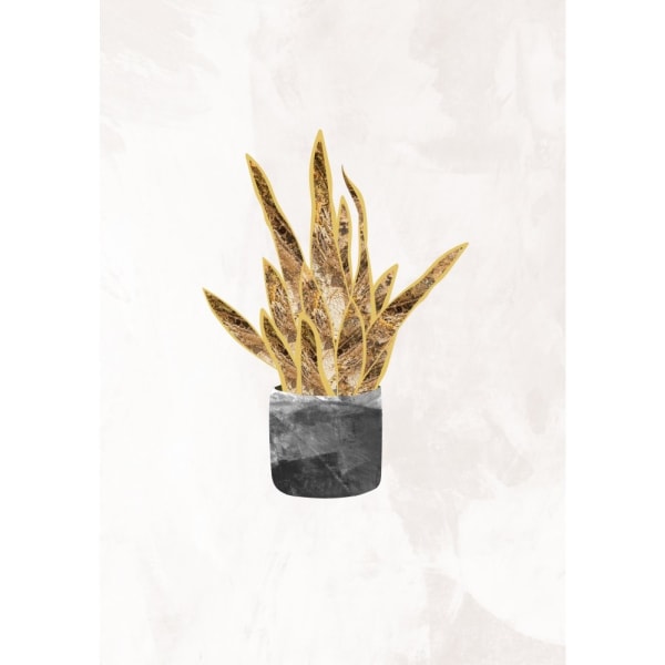 Black And Gold House Plant 1 - 30x40 cm