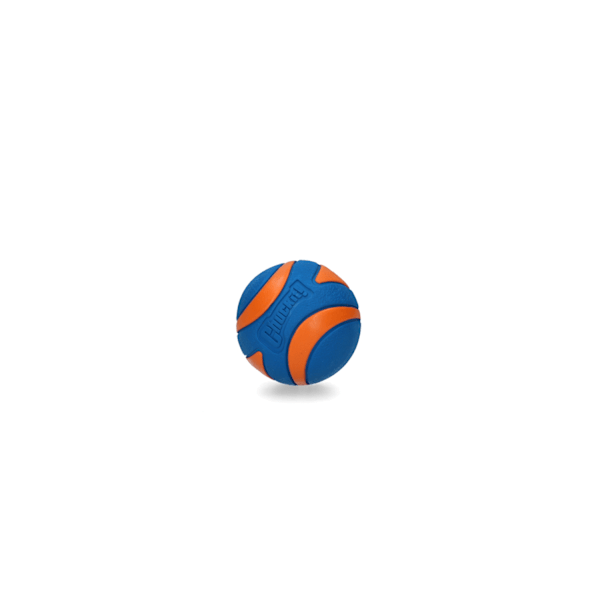 Chuckit Ultra Squeaker Ball XL 1 stk.