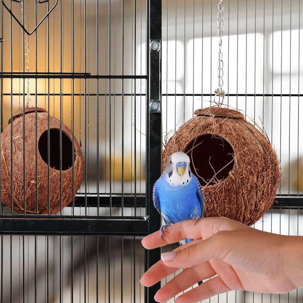 Birdhouse kokos set om 2