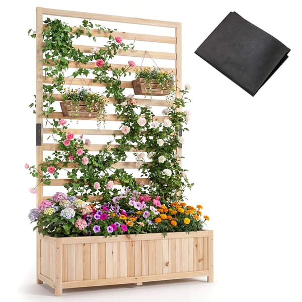 Vertikal kruka i gran med spaljé och dränering