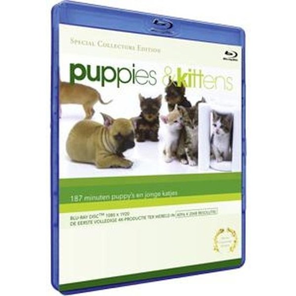 Blu-Ray-pennut ja -pennut