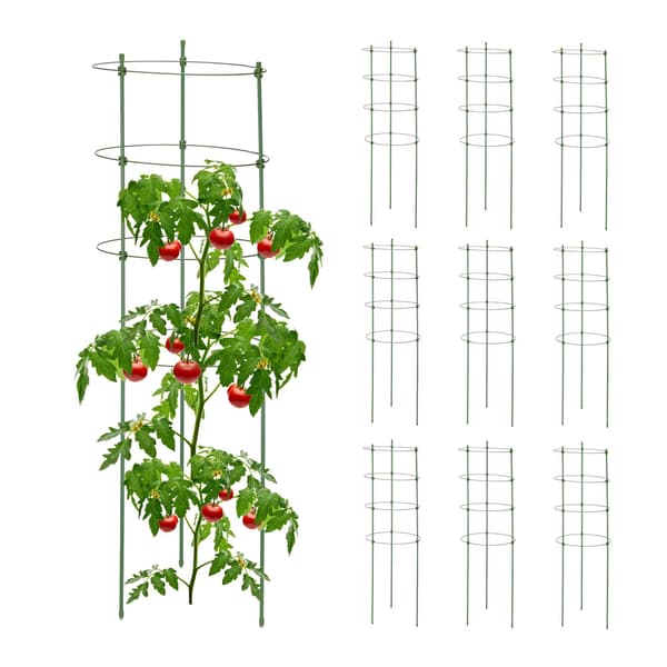 10 kpl kasvitukia 90 cm
