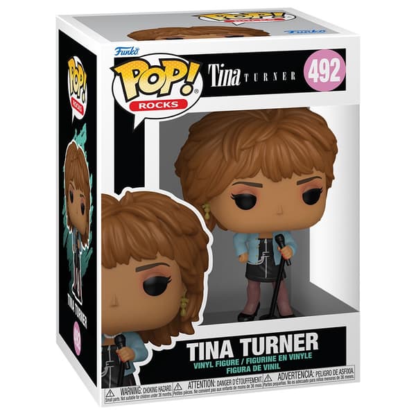 POP-figur Tina Turner