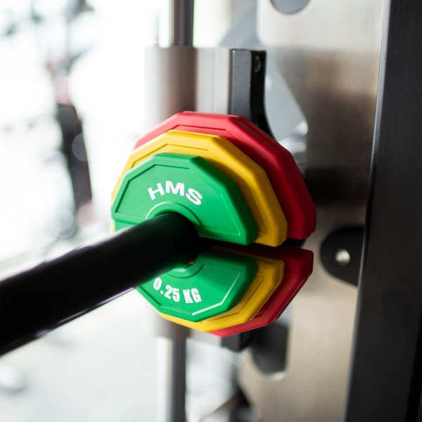 Viktplatta för styrketräning, 0,25 kg, set om 2