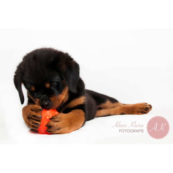 Jolly Jumper Ball 7,5 cm Orange