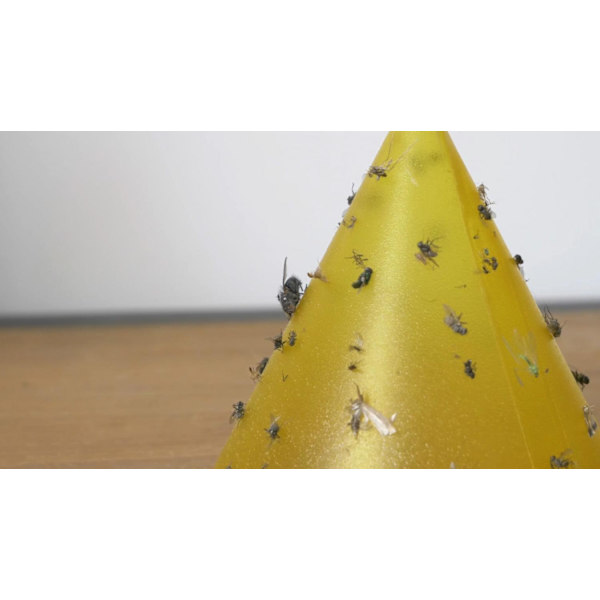 Wellys GI-054565: (3kpl): Sticky Trap with Light Refill/ Replacement (3kpl)
