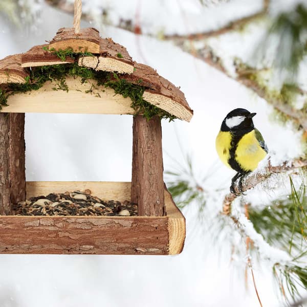 Fågelmatare med bark