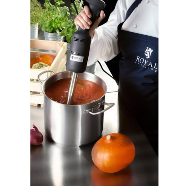 Kraftig røremaskine, stavblender, lang. arm 400mm 350W 230V Royal Catering