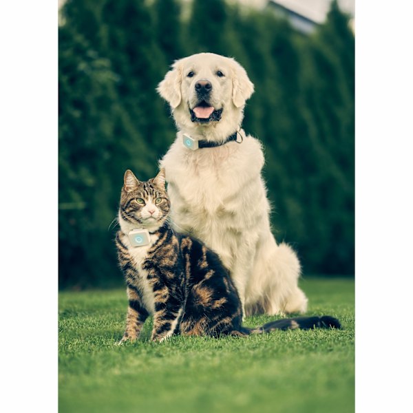Lildog 2 GPS Tracker til hunde