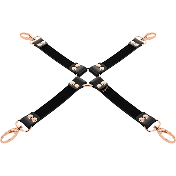 Coquette Chic Desire - Fantasy Vegan Læder Hog Tie