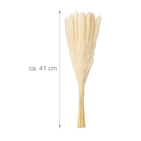 Kuivattu Pampas-ruohosetti, 144 osaa – Boho Decor