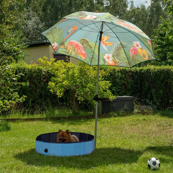 Hundpool 80x20 cm
