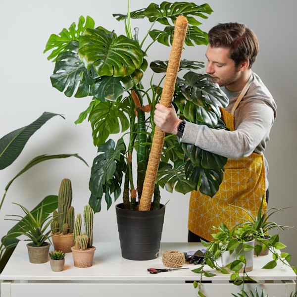 set med 5 kokosnötspinnar 90 cm