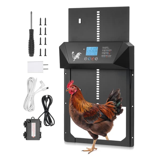 Automatisk hönshusdörr – DC eller batteri, LCD-timer