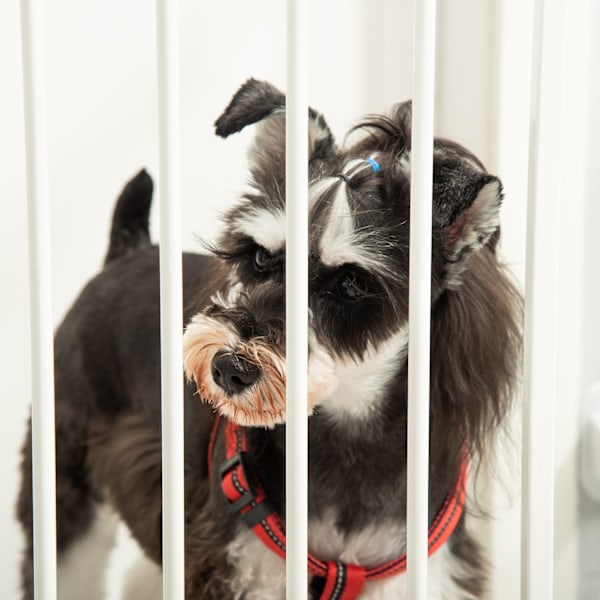 Dog Barrier Säädettävä Kulmassa Säädettävä Taittuva Automaattiovi
