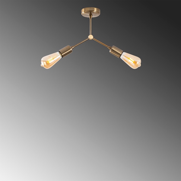 Lysekrone Sparrow - 1251