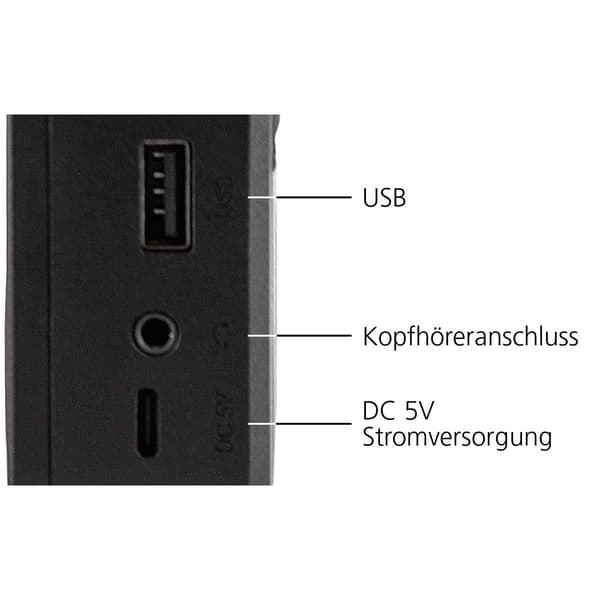 DABMAN 17 bærbar DAB+/FM radio med Bluetooth Sort