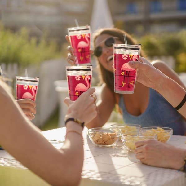 set om 4 dricksglas med flamingomotiv