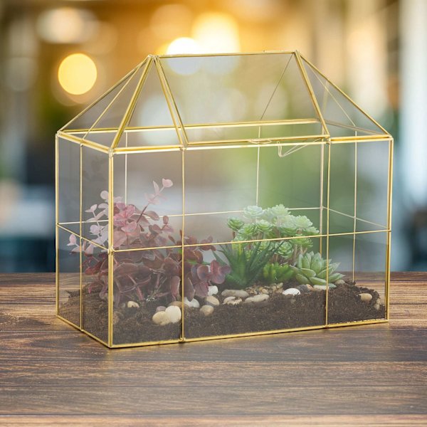 Glashusformat terrarium för krukväxter
