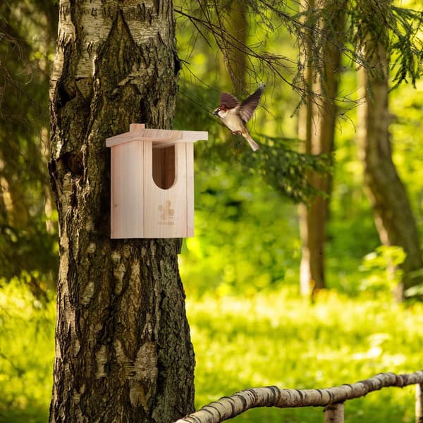 Birdhouse Luonnonpuuta Puoliontelon linnut
