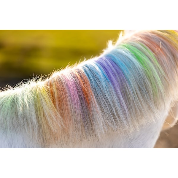 Lucky Horse Unicorn regnbågsfärgad krita