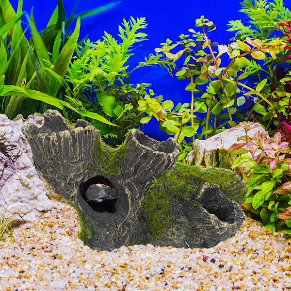 Akvarium dekoration, akvarie tilbehør sten