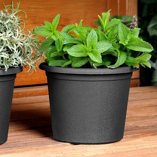 Havekrukke i plast, sort, rund, 14,5 cm, 3 stk.