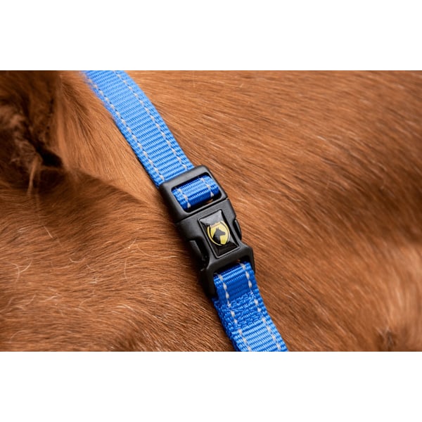 Erinomainen Horse Essential Halter XS Mini Foal Blue
