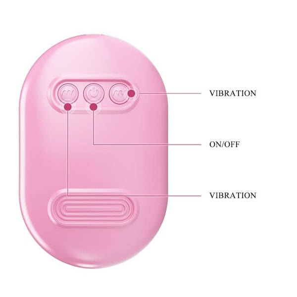 Fun Box Vibrerende Kugler med Fjernbetjening Pink USB