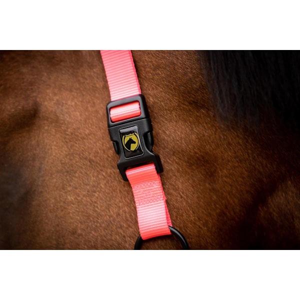 Utmärkt Horse Essential Grimma XS Mini Föl Rosa