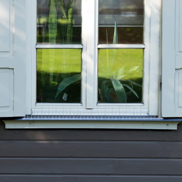 Fågelavvisande spikar, set om 6