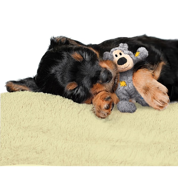 KONG WildKnots Bears XS Multicolor