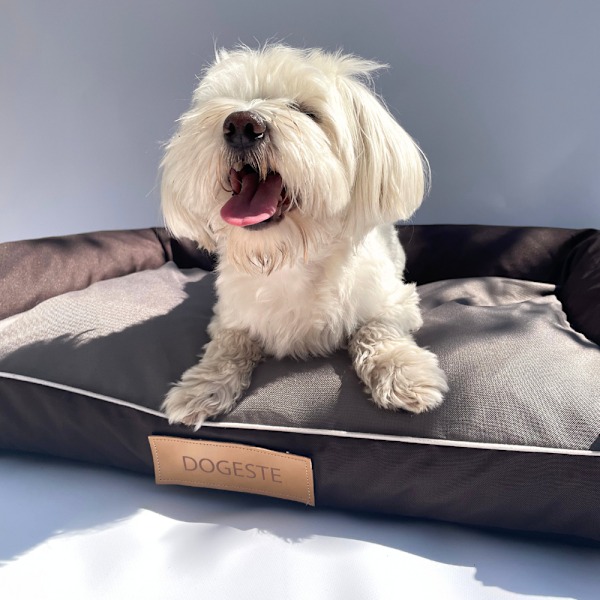 Hundeseng brun XL med personalisering
